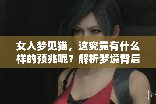 女人梦见猫，这究竟有什么样的预兆呢？解析梦境背后的深层意义