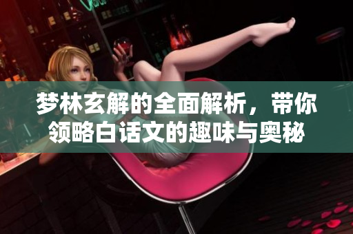 梦林玄解的全面解析，带你领略白话文的趣味与奥秘