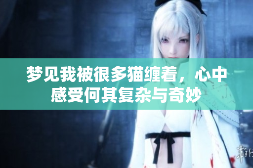 梦见我被很多猫缠着，心中感受何其复杂与奇妙