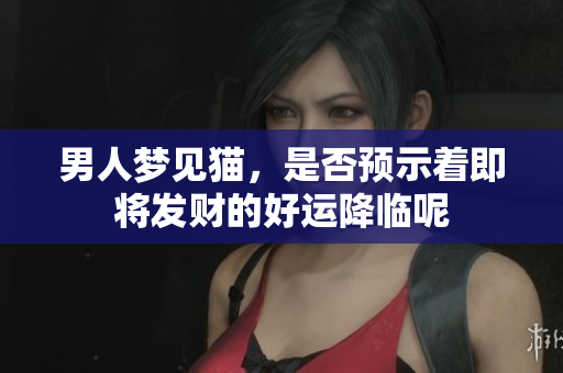 男人梦见猫，是否预示着即将发财的好运降临呢