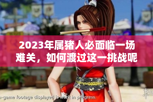2023年属猪人必面临一场难关，如何渡过这一挑战呢？