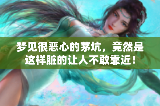梦见很恶心的茅坑，竟然是这样脏的让人不敢靠近！