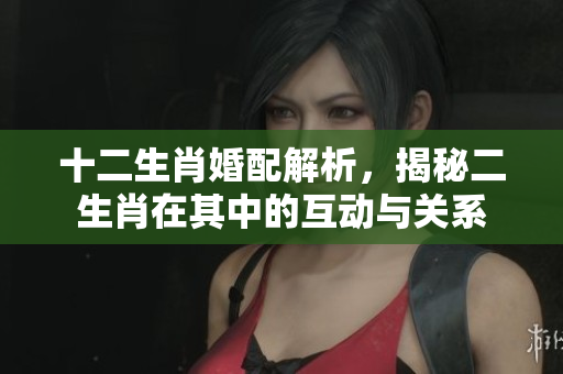 十二生肖婚配解析，揭秘二生肖在其中的互动与关系