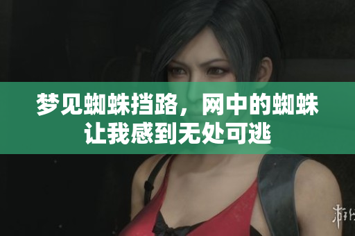 梦见蜘蛛挡路，网中的蜘蛛让我感到无处可逃