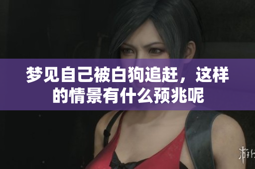 梦见自己被白狗追赶，这样的情景有什么预兆呢