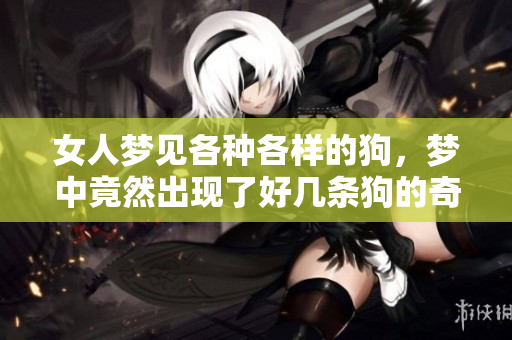 女人梦见各种各样的狗，梦中竟然出现了好几条狗的奇妙景象