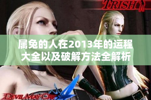 属兔的人在2013年的运程大全以及破解方法全解析