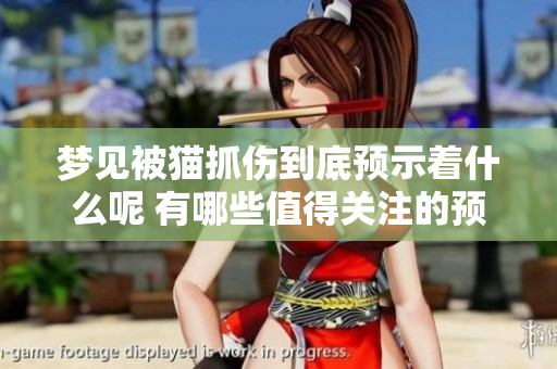梦见被猫抓伤到底预示着什么呢 有哪些值得关注的预兆呢