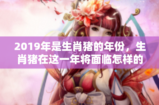 2019年是生肖猪的年份，生肖猪在这一年将面临怎样的机遇呢