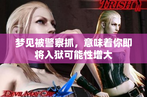 梦见被警察抓，意味着你即将入狱可能性增大