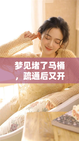 梦见堵了马桶，疏通后又开了，竟然让我思考了很多事情