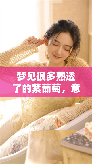 梦见很多熟透了的紫葡萄，意味着什么呢？这个梦境有哪些寓意和启示呢？