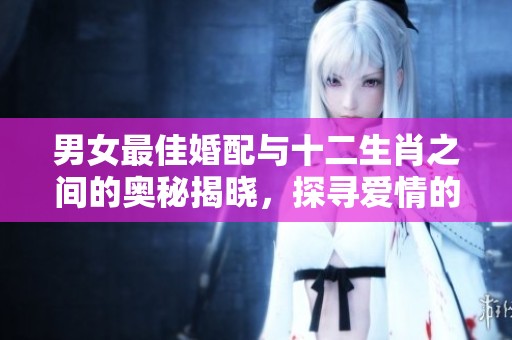 男女最佳婚配与十二生肖之间的奥秘揭晓，探寻爱情的完美结合之道