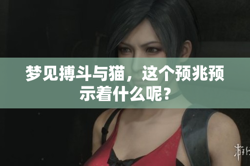 梦见搏斗与猫，这个预兆预示着什么呢？