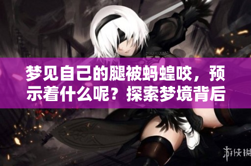 梦见自己的腿被蚂蝗咬，预示着什么呢？探索梦境背后的深意与启示。
