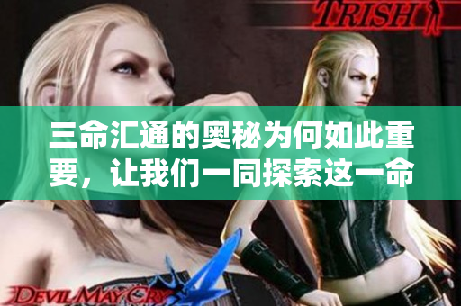 三命汇通的奥秘为何如此重要，让我们一同探索这一命理知识的深厚内涵。