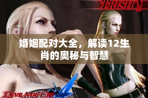 婚姻配对大全，解读12生肖的奥秘与智慧