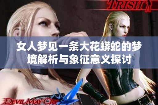 女人梦见一条大花蟒蛇的梦境解析与象征意义探讨