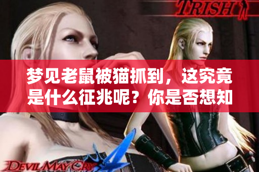 梦见老鼠被猫抓到，这究竟是什么征兆呢？你是否想知道答案？