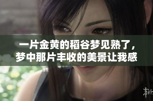 一片金黄的稻谷梦见熟了，梦中那片丰收的美景让我感到幸福