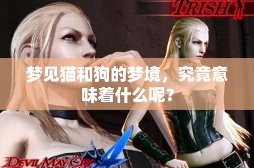 梦见猫和狗的梦境，究竟意味着什么呢？