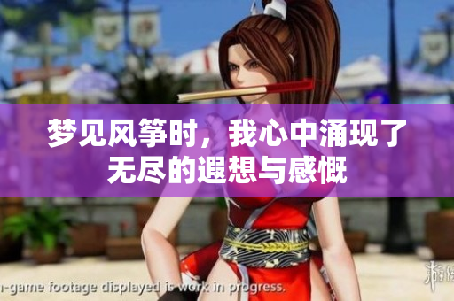 梦见风筝时，我心中涌现了无尽的遐想与感慨