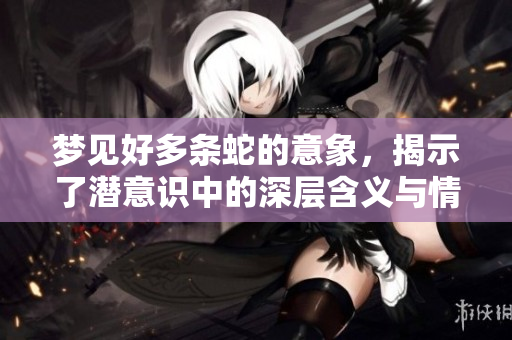 梦见好多条蛇的意象，揭示了潜意识中的深层含义与情感状态