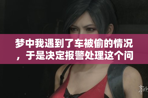梦中我遇到了车被偷的情况，于是决定报警处理这个问题