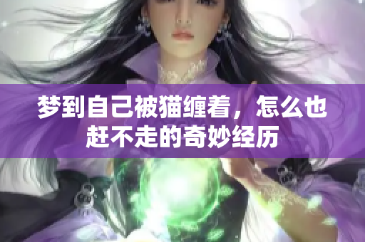 梦到自己被猫缠着，怎么也赶不走的奇妙经历