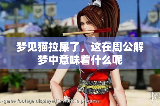 梦见猫拉屎了，这在周公解梦中意味着什么呢