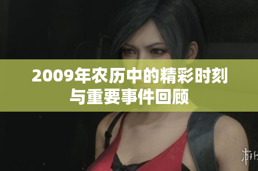 2009年农历中的精彩时刻与重要事件回顾