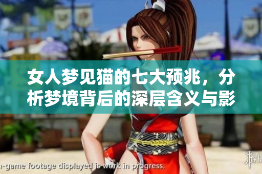 女人梦见猫的七大预兆，分析梦境背后的深层含义与影响
