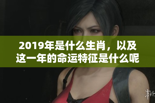 2019年是什么生肖，以及这一年的命运特征是什么呢