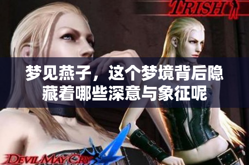 梦见燕子，这个梦境背后隐藏着哪些深意与象征呢