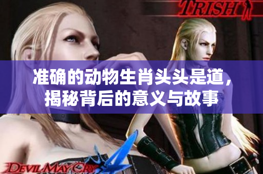 准确的动物生肖头头是道，揭秘背后的意义与故事