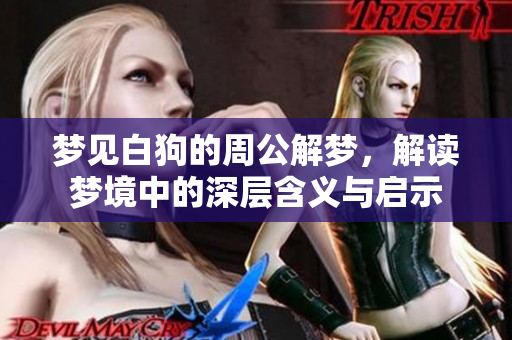 梦见白狗的周公解梦，解读梦境中的深层含义与启示