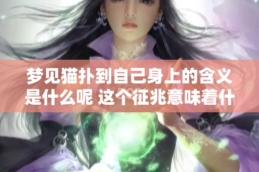 梦见猫扑到自己身上的含义是什么呢 这个征兆意味着什么呢