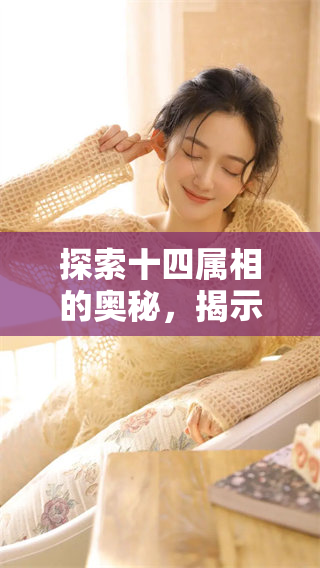 探索十四属相的奥秘，揭示它们背后的文化与象征意义
