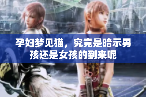 孕妇梦见猫，究竟是暗示男孩还是女孩的到来呢