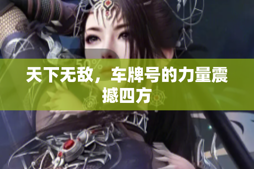 天下无敌，车牌号的力量震撼四方