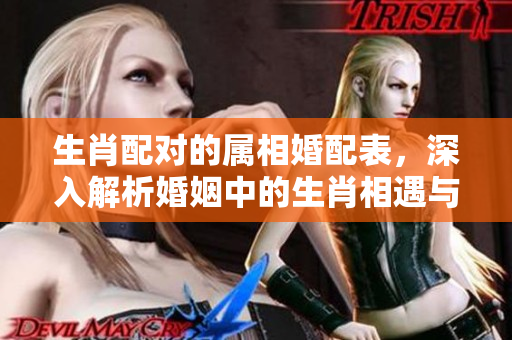 生肖配对的属相婚配表，深入解析婚姻中的生肖相遇与契合度
