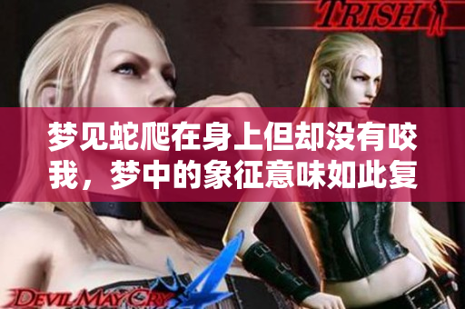 梦见蛇爬在身上但却没有咬我，梦中的象征意味如此复杂