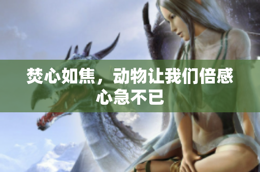 焚心如焦，动物让我们倍感心急不已