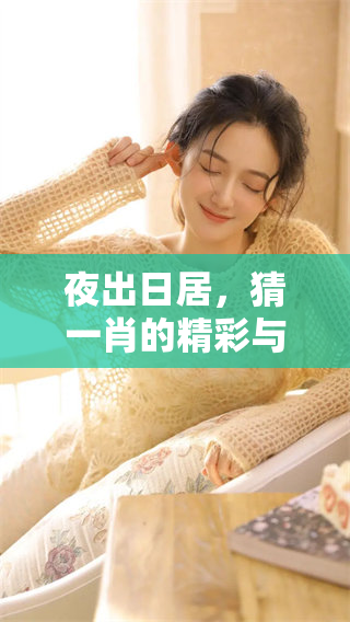 夜出日居，猜**的精彩与奥秘深藏其中
