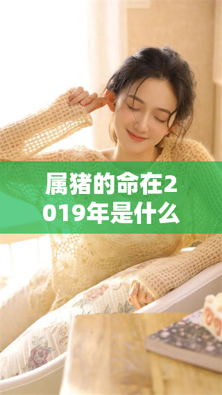 属猪的命在2019年是什么样的？你知道答案吗？