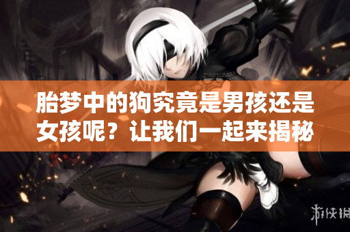 胎梦中的狗究竟是男孩还是女孩呢？让我们一起来揭秘这个谜题吧！