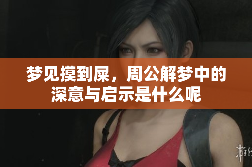 梦见摸到屎，周公解梦中的深意与启示是什么呢