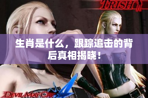 生肖是什么，跟踪追击的背后真相揭晓！
