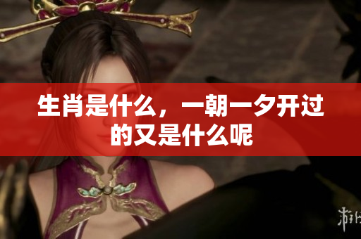 生肖是什么，一朝一夕开过的又是什么呢