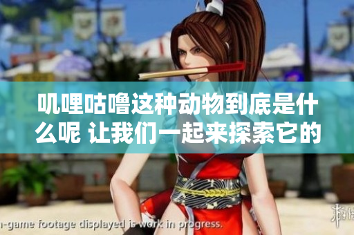 叽哩咕噜这种动物到底是什么呢 让我们一起来探索它的神秘之处吧